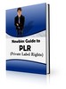 Thumbnail newbieplr - make money with plr