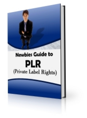 Product picture newbieplr - make money with plr